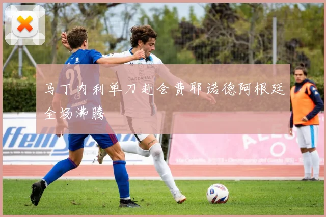 马丁内利单刀赴会费耶诺德阿根廷全场沸腾